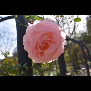 Meet your Posher, Alana